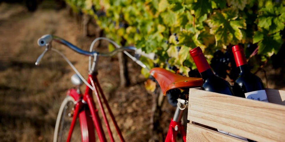 planning a wine-focused bicycle trip in Europe